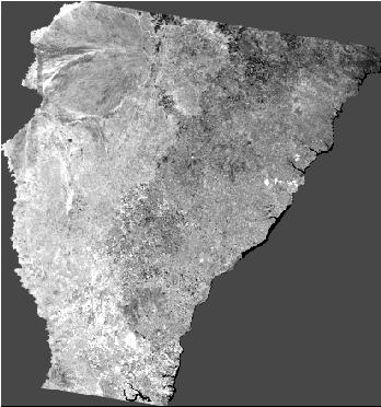 Figura 1. Imagem NDVI CBERS-2 WFI cena 163/124 de 26/7/24 (fonte: INPE 24) Nos procedimentos computacionais foi utilizado o software ERDAS IMAGINE 8.4 (ERDAS, 1999).