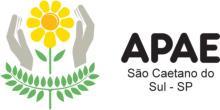 ADAPTAÇÕES CURRICULARES NA EDUCAÇÃO INCLUSIVA Rosana Maria do N.