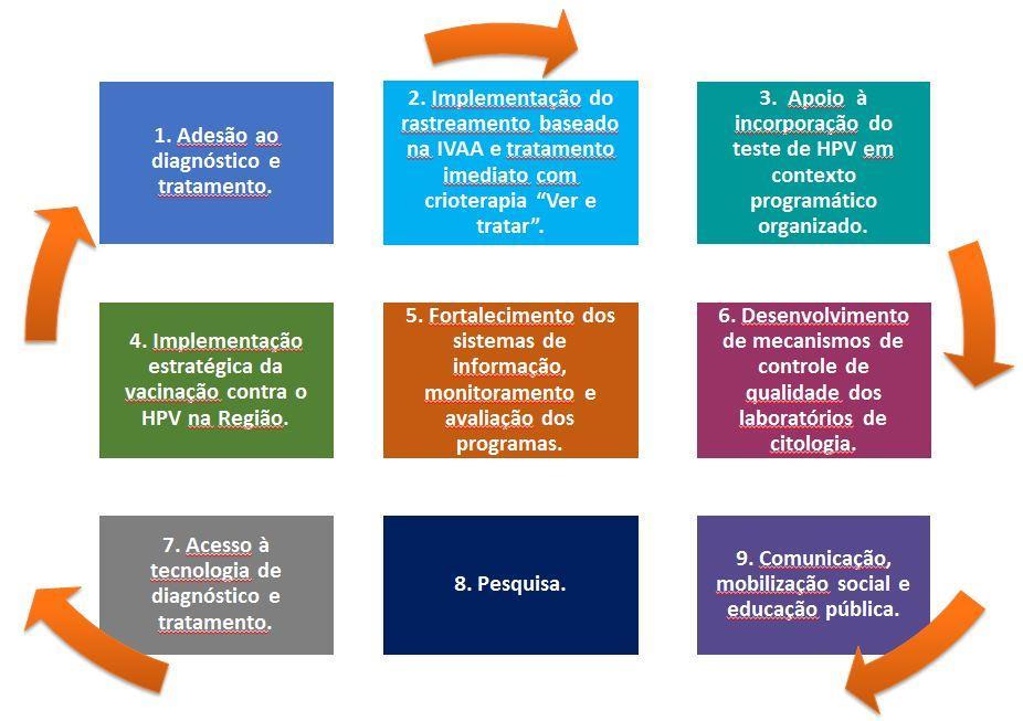 e 9 componentes estratégicos para garantir os objetivos de rastreamento, diagnóstico e