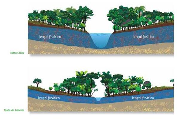 Modelos de Restauração de Matas de Galeria e Ciliares 1. Bioma: Cerrado 2. Fitofisionomia (IBGE, 2012): Matas de Galeria e Ciliares 3.