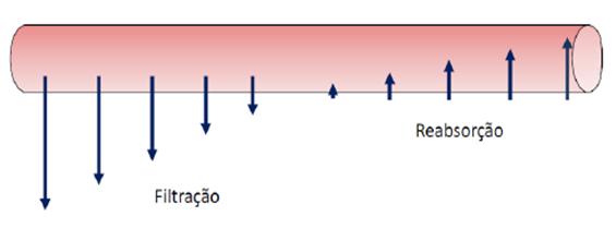 Diferencia de pressão (mmhg) FILTRAÇÃO E REABSORÇÃO