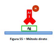 possui o marcador Simples,