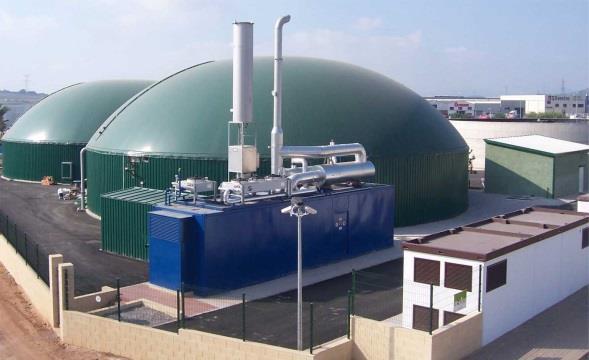 Biogás Produção de energia; Desenvolvimento de consórcios microbianos e otimização de processos; Tratamento de efluentes industriais; Conjugação com tratamento terciário do efluente e cultivo de