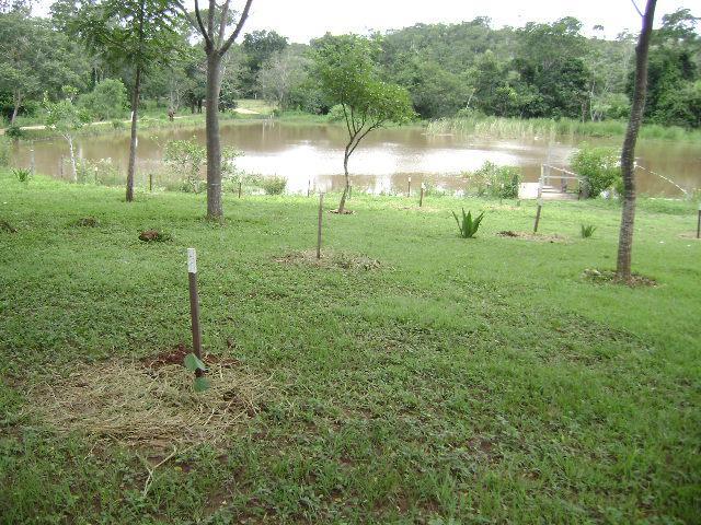 que dá acesso a trilha do passeio da fazenda. As margens dessa represa foram ocupadas por pastagem, como pôde ser observado pela presença de braquiaria.