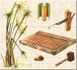 utilizaram o papiro produzido a partir do caule desta planta.