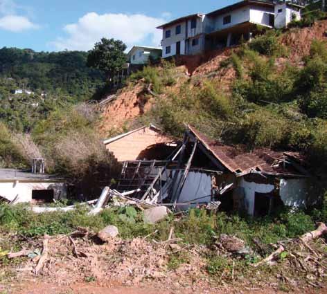 Mesmo pequenas áreas verdes nas propriedades rurais, os parques urbanos e até a arborização das ruas colaboram para diminuir enchentes e o desconforto do calor nas cidades.