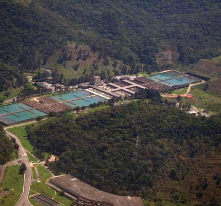 País. Segundo pesquisas realizadas pelo Laboratório de Hidrologia Florestal Walter Emerich, do Instituto Florestal de São Paulo, existe uma relação muito íntima entre a quantidade de água na Mata