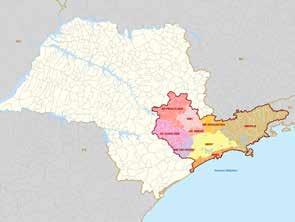 Macrometrópole - Unidades Regionais Território polarizado por centros urbanos articulados em rede -Processo único de relações econômico-sociais -Dinamismo econômico