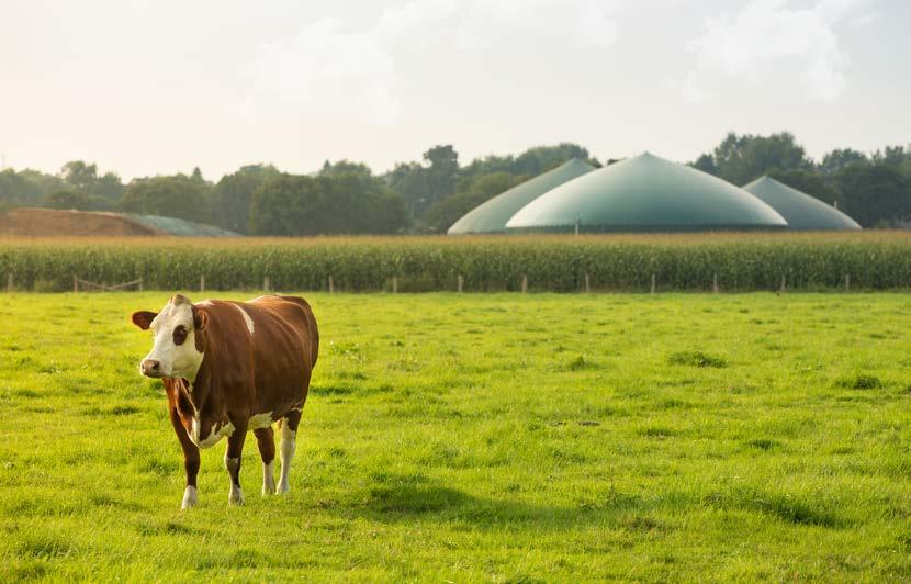 O BIOGÁS DO AGRONEGÓCIO: TRANSFORMANDO O PASSIVO AMBIENTAL EM ATIVO ENERGÉTICO E AUMENTANDO A COMPETITIVIDADE DO SETOR Rodrigo Regis de Almeida Galvão ** No ano de 2016 a balança comercial do Brasil