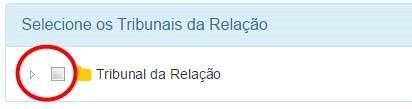 É possível selecionar os Tribunais a que concorre e/ou os a que renuncia, a fim de ser objecto de processamento no