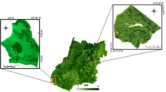 Figura 1. Imagem EVI do Estado de Goiás obtida pelo satélite Terra/MODIS em julho de 20