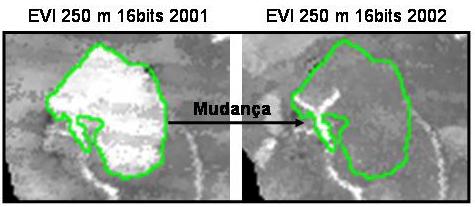 a) b) Figura 4. a) Áreas de mudança (em vermelho) no Parque Nacional das Emas em imagens EVI 16 bits (lado esquerdo) e 8 bits (lado direito) e 0,20 de limiar.