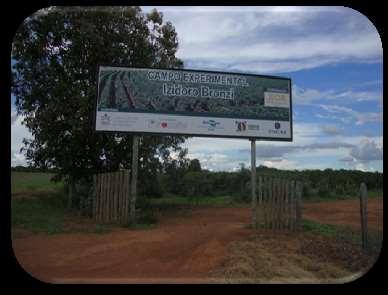 AVALIAÇÃO DO CONCENTRADO DE ALGAS ACADIAN NO DESENVOLVIMENTO VEGETATIVO E PRODUTIVO DO CAFEEIRO CULTIVADO NO CERRADO DE MINAS GERAIS, COM E SEM IRRIGAÇÃO POR GOTEJAMENTO ALT Fernandes Dr.