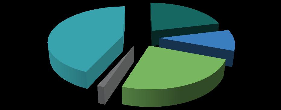 Balanço Social 2016 44% 21% 10% 24% 1% Assistente Técnico Dirigente Intermédio Informático Assistente
