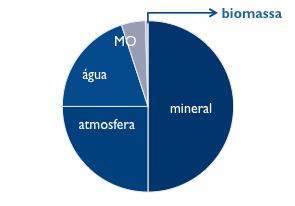 COMPOSIÇÃO DO SOLO 50% mineral 25% atmosfera 20% água 5%