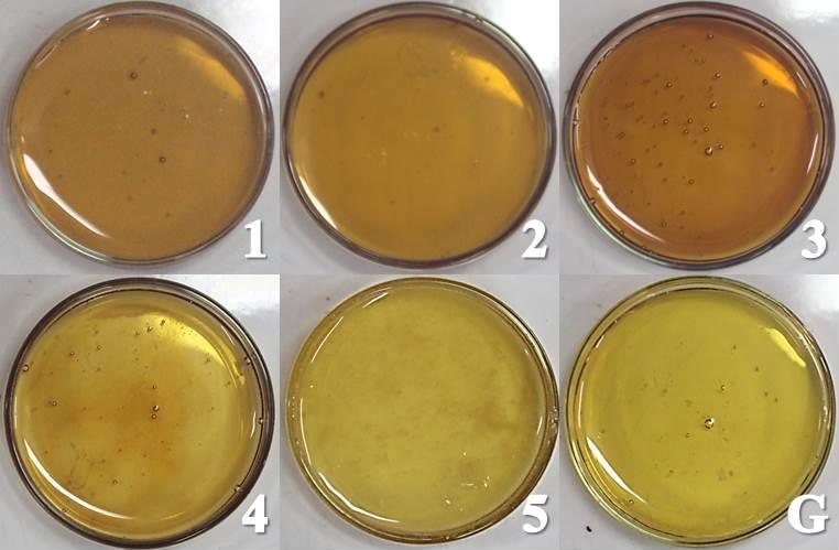Figura 1. Variação de cores nas amostras analisadas (1 a 5). G xarope de glicose. Análise Microscópica A análise microscópica revelou, na amostra 1, a presença de dois fragmentos de insetos e um pelo.