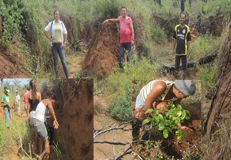 Práticas conservacionistas do solo As atividades desenvolvidas com os agricultores de Ponta da Serra tiveram como ênfase as práticas conservacionistas do solo e a capacitação de manuseio de roçadora.