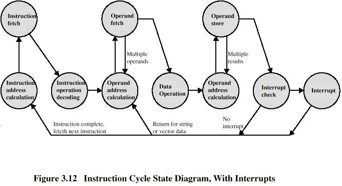 Ciclo de