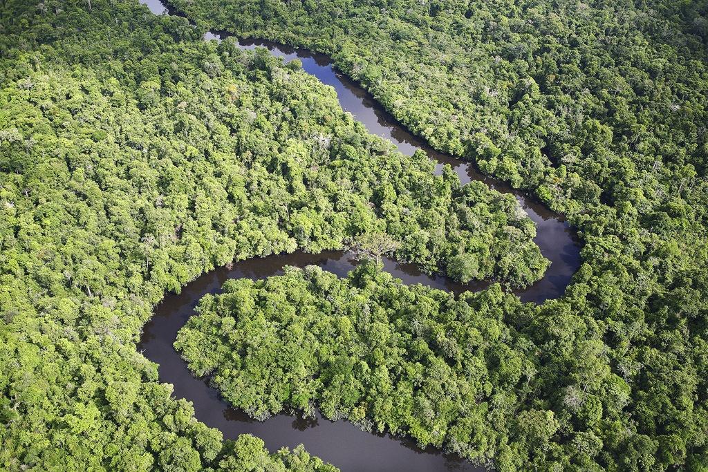 ECONOMIA VERDE NA AMAZÔNIA: DESAFIOS NA VALORIZAÇÃO DA FLORESTA EM PÉ