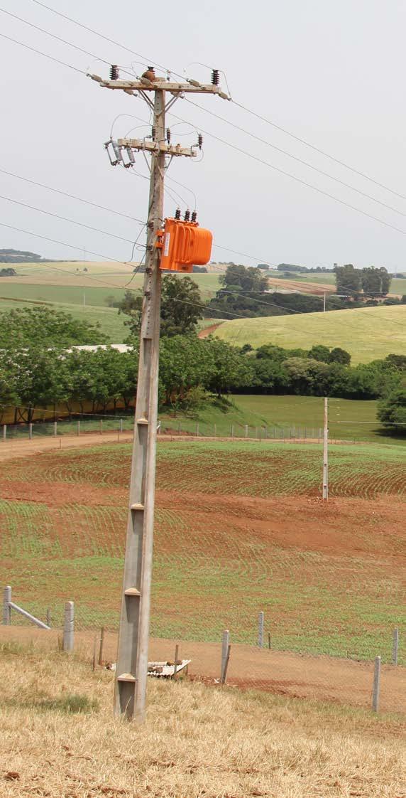 Seja em grande escala ou em pequenas extensões de terra, todas as diferentes atividades são importantes na composição da cadeia produtiva do agronegócio, ressalta o presidente Jânio Vital Stefanello.