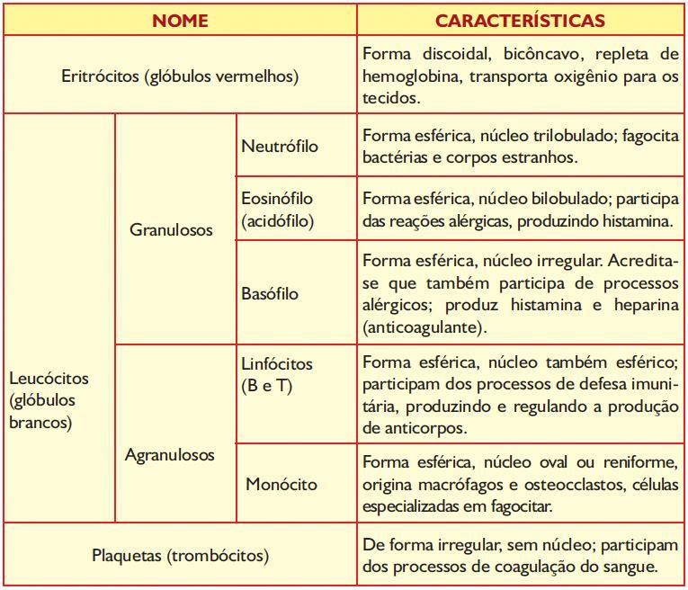 Principais tipos de células do Sangue FUNÇÕES DO SANGUE Transporte de