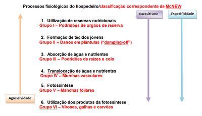 Classificação das doenças de plantas: Baseando-se no agente causal, no hospedeiro ou nos