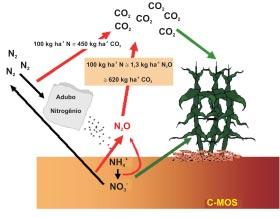 Figura 6. Emissões de gases de efeito estufa, em equivalentes de CO 2, pelo uso de fertilizante nitrogenado em lavouras de sequeiro.