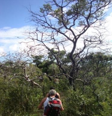 Formiga saindo do camping - almoço - Fervedouro -