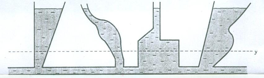 3 P g (7) Figura 2. Paradoxo idrostático.