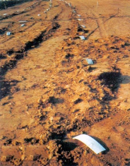 27 Figura 11.4 - Extremidade de geodrenos, na superfície do solo, após a cravação dos mesmos (Fonte: ESTE engenharia) Referências Bibliográficas BUENO, B. S.; VILAR, O. M. Mecânica dos solos.