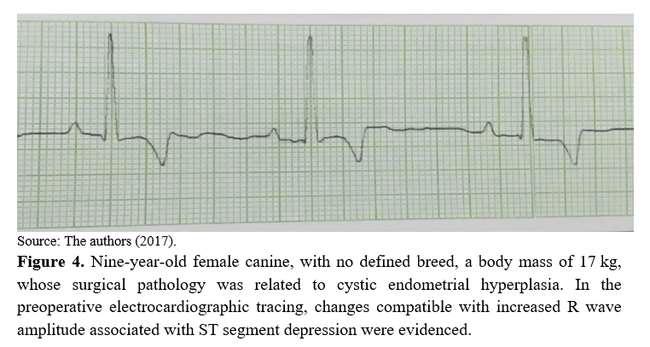 Preoperative electrocardiographic study of dogs at the veterinary hospital of.