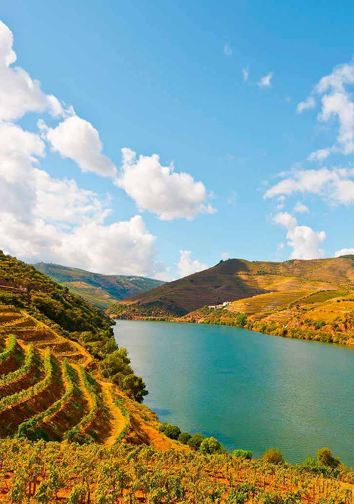 .. From the imperious Mediterranean climate, the Douro Valley is an enclave of hot and dry, especially apt for growing vines, olive trees, almond trees and fruit trees like cherries, figs, peaches,