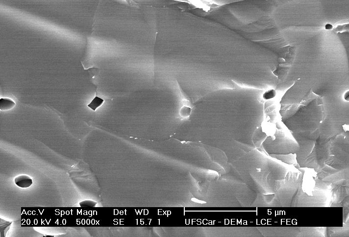 Porém, a imagem da superfície de fratura da amostra sinterizada a 600 C mostra pequena quantidade de segunda fase no contorno de grão, como destacado na Figura 4.