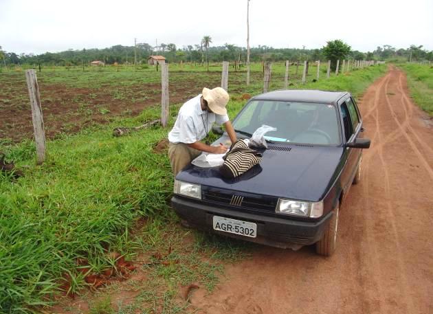 Os vestígios arqueológicos foram evidenciados pelos recortes de