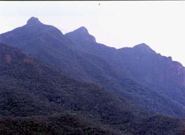 montanha na Serra da Prata; f) Um dos trechos do estudo fitossociológico