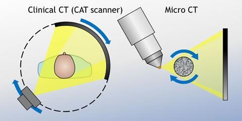 Tomografia (TC) e microtomografia