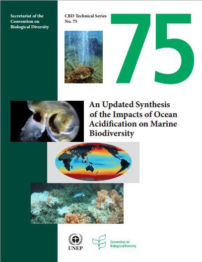 Edição nº 56 Setembro 2014 Acidificação dos Oceanos Afeta Negativamente a Economia Global, segundo Relatório da ONU Durante a 12ª Conferência das Partes (COP 12) da Convenção sobre Diversidade