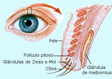 Doenças