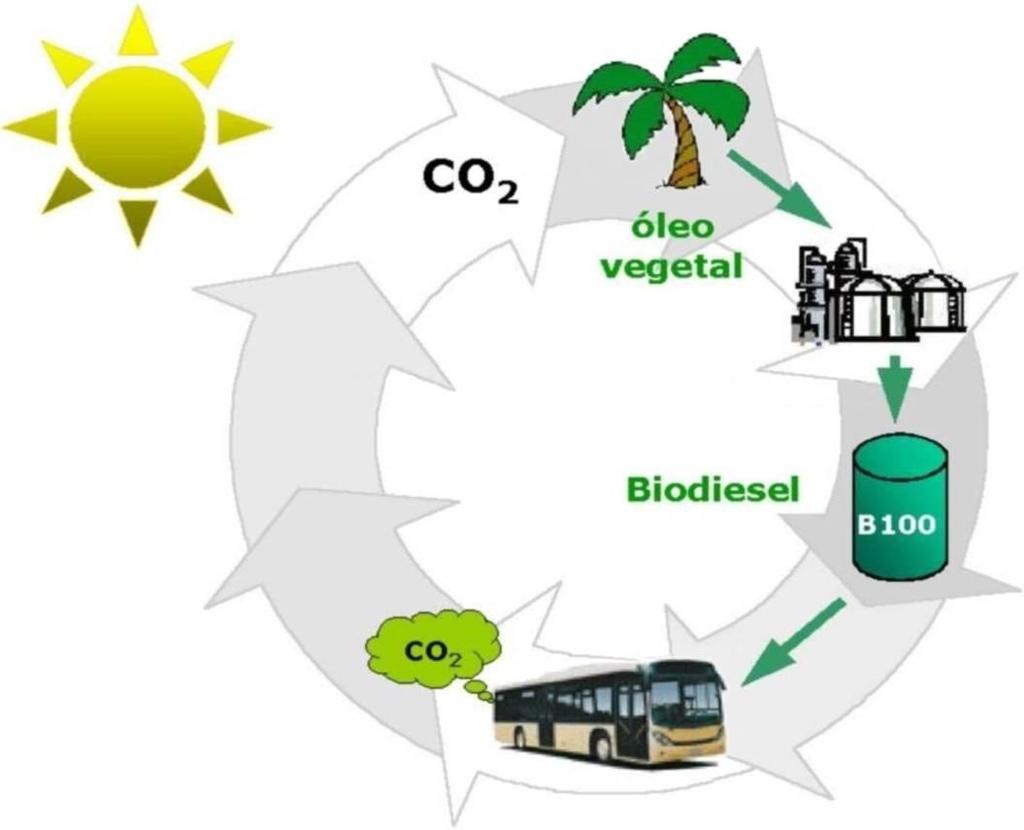 O que é BIODIESEL? Conceito: Combustível biodegradável derivado de fontes renováveis.