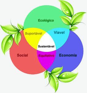 CONFERÊNCIAS MUNDIAIS SOBRE O MEIO AMBIENTE Estocolmo (1972) Criação do PNUMA (Programa das Nações Unidas para o Meio Ambiente). Foco o meio ambiente.