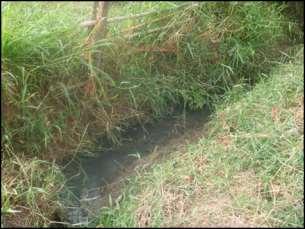 Figura 1.1 Lançamento de esgoto in natura em Córrego afluente do Rio Piranga. Figura 1.2 Lançamento de esgoto in natura no Córrego do Machado.