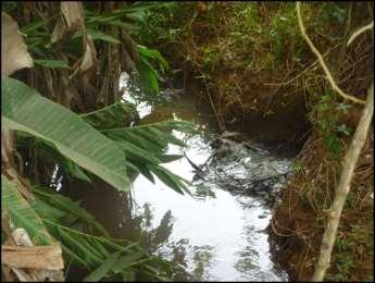 Foram georreferenciados pontos de lançamento de esgoto in natura no Rio Turvo Limpo na sede e córregos sem nome na sede e no distrito.