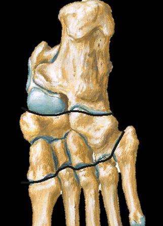 Quais são os ossos do pé e seus acidentes anatômicos mais relevantes?