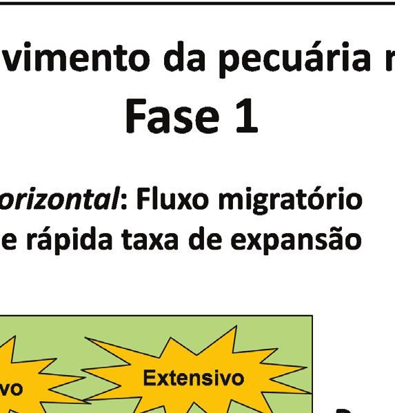 Degradadas na Amazônia 17