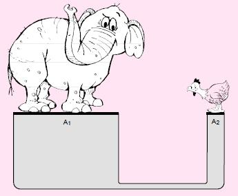 (b) suponha que a área onde está apoiada a galinha (A2) seja 10 cm2. Qual dever á ser a área onde está o elefante (A1)?