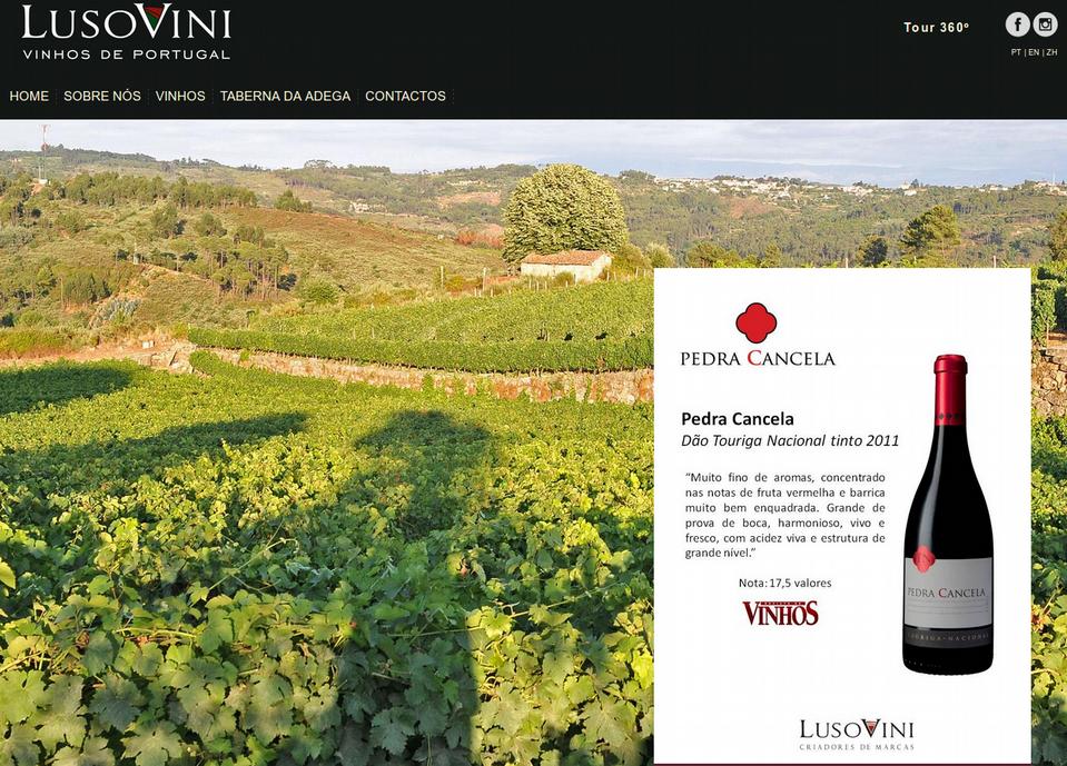 Lusovini Vinhos de