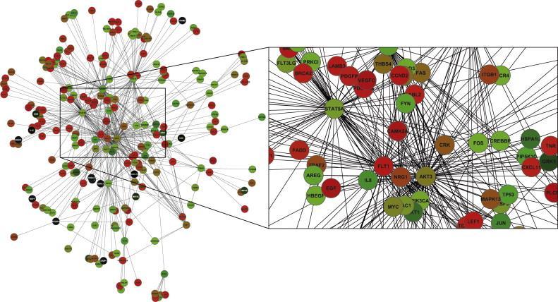 Transcritômica e Redes Co-expressão de genes Construção de redes de expressão (interação) gênica