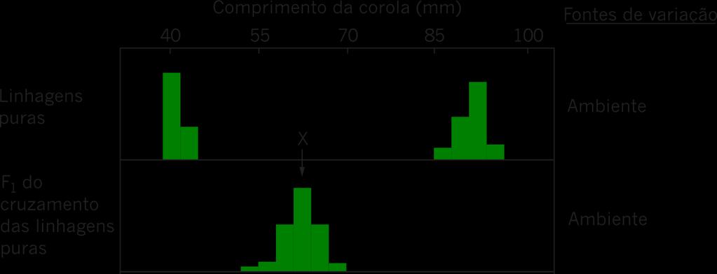 HERANÇA DE CARACTERES