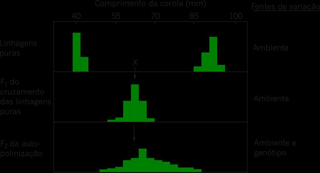 HERANÇA DE CARACTERES