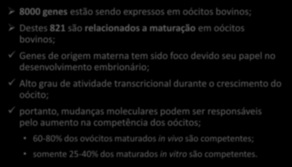 Maturação Oocitária: 8000 genes estão sendo expressos em oócitos bovinos; Destes 821 são relacionados a maturação em oócitos bovinos; Genes de origem materna tem sido foco devido seu papel no